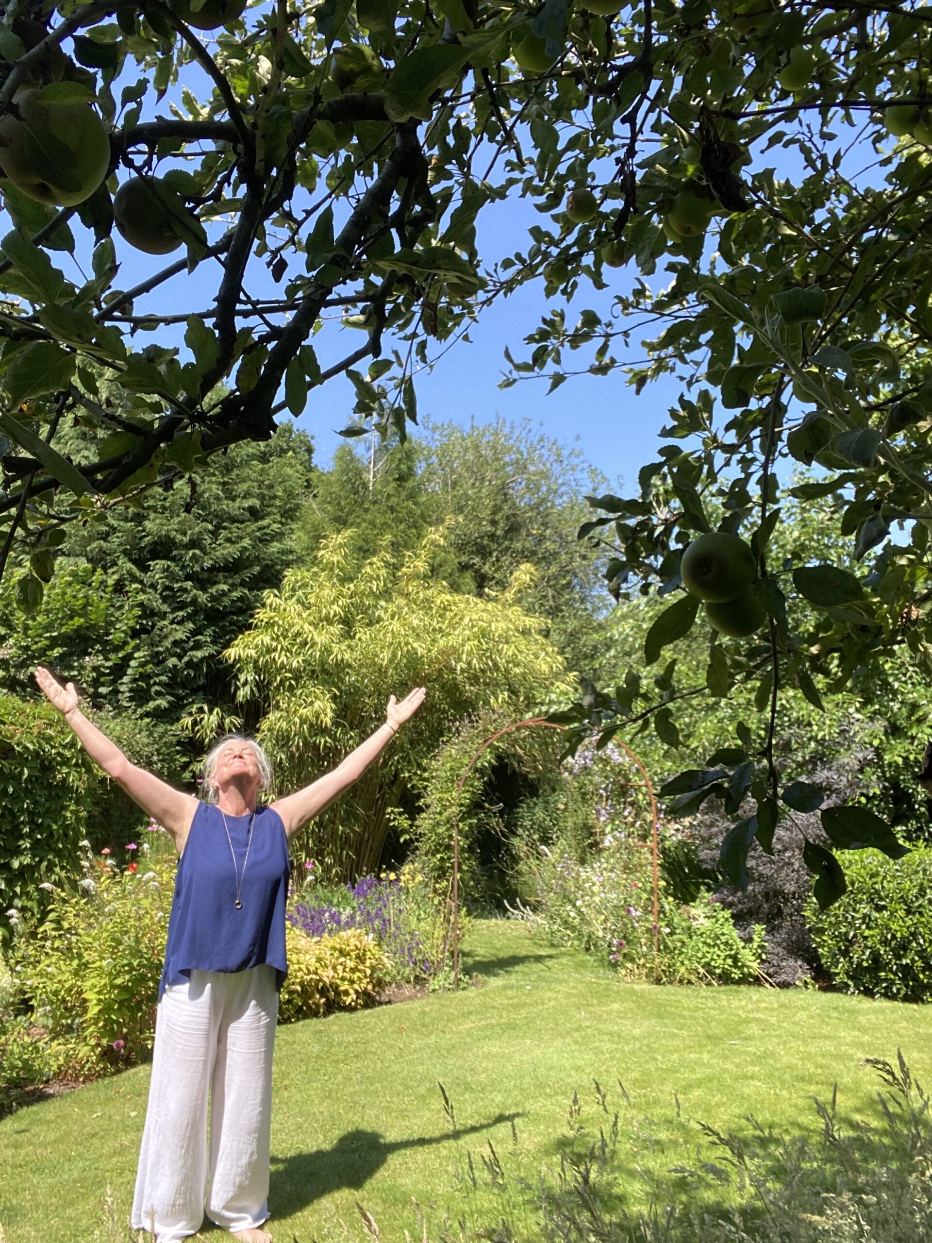Surrey Hills Qigong teacher Sue, with arms raised up to the heavens